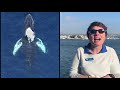 Identifying Marine Mammals and Naturalist Roles