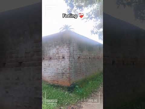 Feeling ❤️‍🩹😇💫🌏😱#viral #villagelifestyle #bihar #jharkhand #india #explore #youtubeshorts #ytshorts