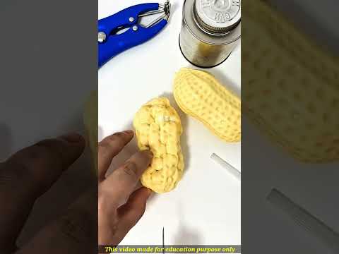 देखो लड़का बादाम से क्या किया 🤔 #amazing