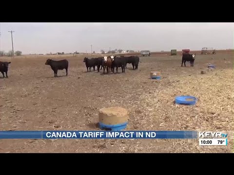 YouTube video thumbnail: Canada Tariff Impact on North Dakota