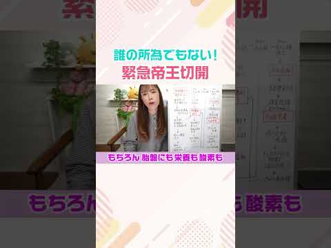 ★本編は👆から★ 【12人産んだ】助産師HISAKOの子育てチャンネル #shorts #妊娠糖尿病 #切迫早産 #緊急帝王切開 #羊水過多 #遺伝子異常