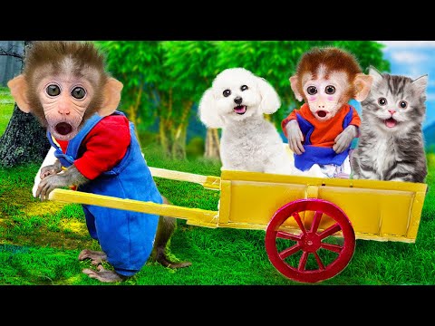 Bon Bon Monkey Harvest Fruits With Cat & Dogs