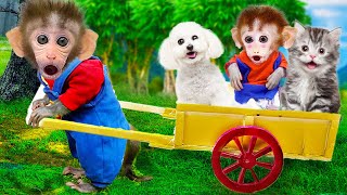 Bon Bon Monkey Harvest Fruits With Cat & Dogs