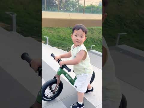 90后懒妈妈教出来的一定是勤快宝宝！出门的时候叫他俩不要拿车 非要拿，不想骑了 也要自己骑着，上楼梯 也要自己抬着，要我拿绝不可能🥳#双胞胎#人类幼崽