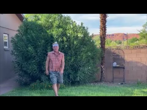 Bigfoot, structures, bones and a hidden cave