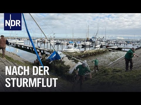 Schleswig-Holstein: Nach der Jahrhundert-Sturmflut | Die Nordreportage | NDR Doku