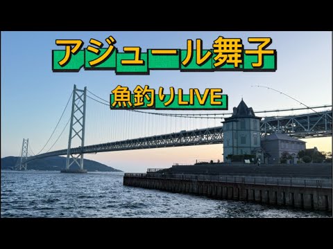 アジュール舞子より魚釣りLIVE❣️