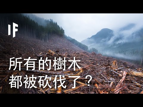 如果所有的樹木都被砍伐了？| 大膽科學 - YouTube(11:54)