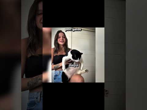 TENTE NÃO RIR 😂| PARTE COMPLETA NO VÍDEO LONGO! #memesbr #funil #memes #pets #cachorro #tentenaorir