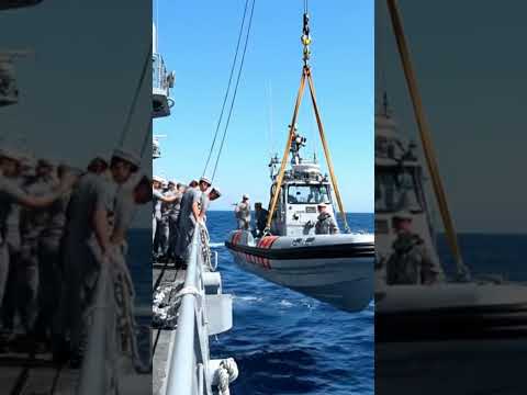 Eagle alerted Navy when it saw smoke!😨🦅 Saves Lives #rescue #humans