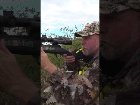 "Instant Hit! Quick Roe Deer Hunt Moment"#HuntShot#QuickShot#CleanKill
