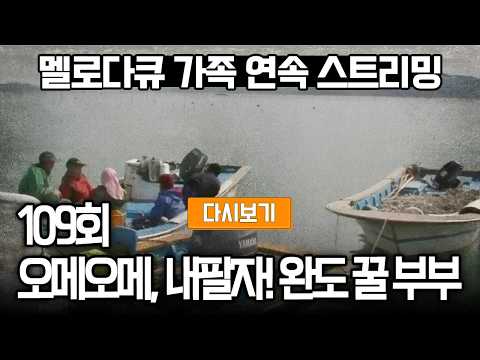 [다시보기] OBS 다시 보는 멜로다큐 가족 109화 오메오메, 내팔자! 완도 꿀 부부 (풀영상)