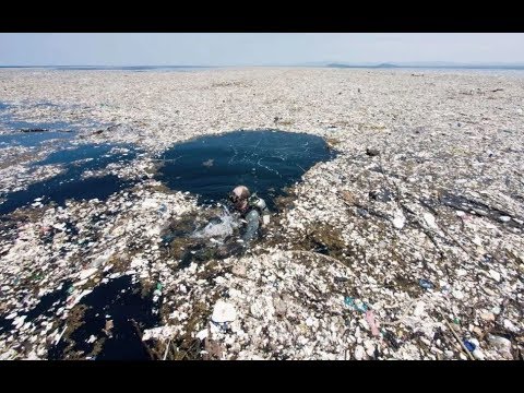 地球已沒有無污染的海洋，無處不在的塑料污染已開始威脅人類生存 - YouTube