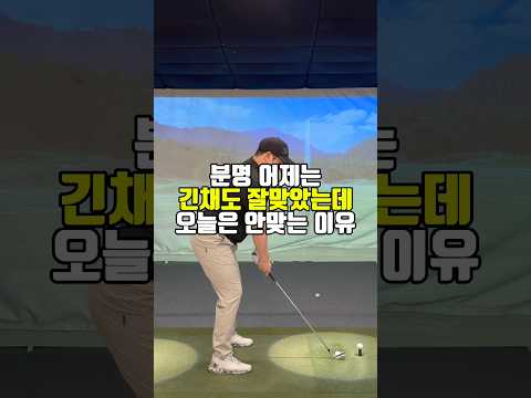 긴채가 왜이러지!