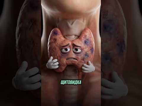 вкратце про щитовидной железы #здоровье #щитовиднаяжелеза #щитовидка #уход #зоб #лечение