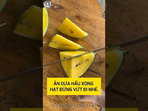 Ăn Dưa Hấu Xong Hạt Đừng Vứt Đi Nhé