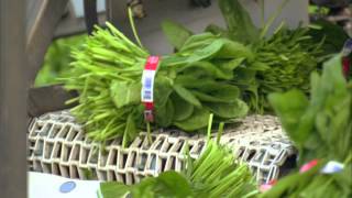 Ocean Mist Farms Bunch Spinach Harvest thumbnail