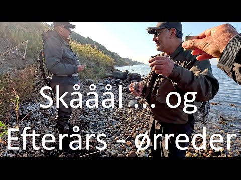 Efterårs ørreder til Gamli og gutter