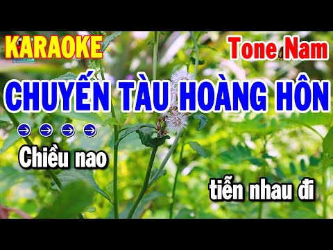 Karaoke Chuyến Tàu Hoàng Hôn Tone Nam Nhạc Sống Beat Dễ Ca 2024 | Thanh Hải