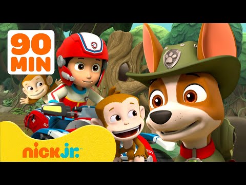 Paw Patrol | ¡Rescates de Animales Bebé en PAW Patrol! Con Ryder y Tracker | Nick Jr. en Español