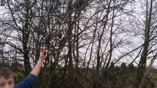 Men vs wild