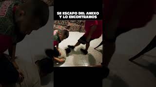 Se pelo baltazar😮#apoyohumanitario #christianmeza #4n3xo