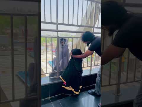 Allah hu Akbar #trendingshorts #automobile #100kvews #allahhuakbar #viralvideo #viwes10milionplace