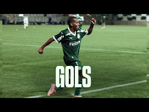 image para ilustrar o artigo