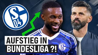 Schalke 04: Herbstmeister... steigt man in die Bundesliga auf?!