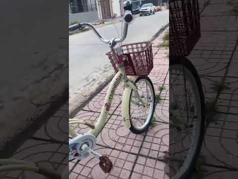 XE ĐẠP TRẺ EM THỐNG NHẤT PUPPY 20"