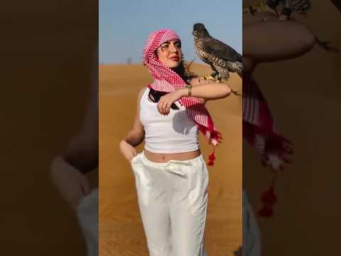 "The Secret Behind Why Dubai's Royals Keep Falcons and Eagles" #shortvideo