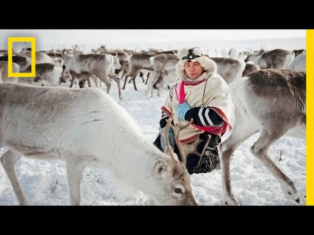 The Reindeer People