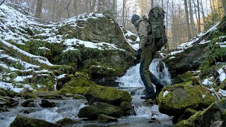 Into the Wilderness: Quest for an Ancient Old-Growth Forest..