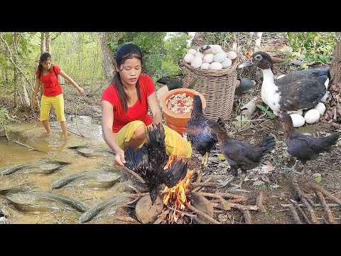 Survival in forest, catch and cook chicken for jungle food, Baby duck egg cooking for food, +5 video