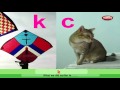 Exploring Beginning Sounds in Phonics