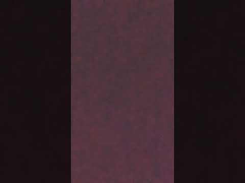 何も内容が入ってこないショート