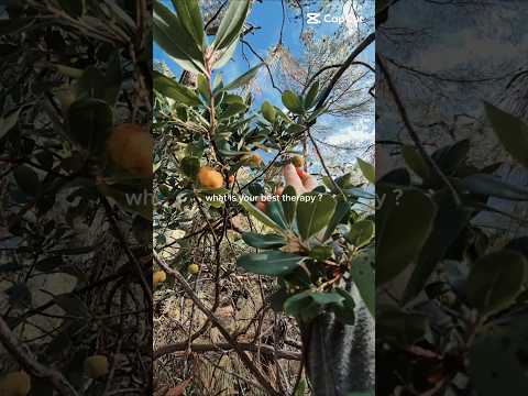 Sizin tedavi yonteminiz nedir?#therapy #positivevibes #positivity #pozitifyaşam #terapi #nature #cat