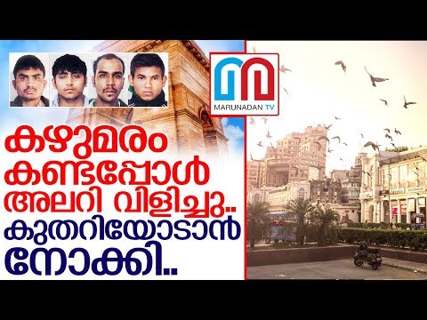 കഴുമരത്തിന് മുന്‍പില്‍ അലറിവിളിച്ചു.. I Delhi 2020