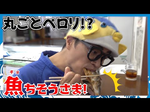 【さかなクンおすすめ】丸ごと美味しい旬のお魚・コノシロちゃん!