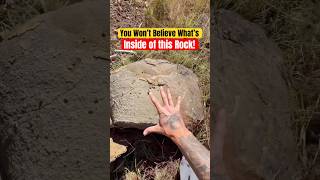 You Won’t Believe What’s Inside THIS Boulder! 😱 #animals #nature #shorts