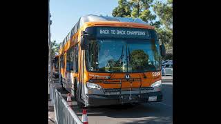 Back to back, baby! ⚾️💙🎉 Go Dodgers!!!