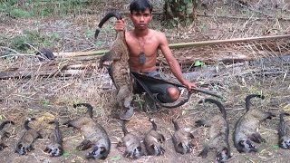 BERBURU MUSANG‼️hunting wild weasel is a deadly struggle