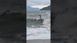 They COULDN’T believe in this wave