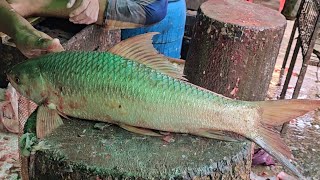 Interesting Big rohu Fish Cutting Skills | Beautiful Place Live Fish Cutting In Bangladesh