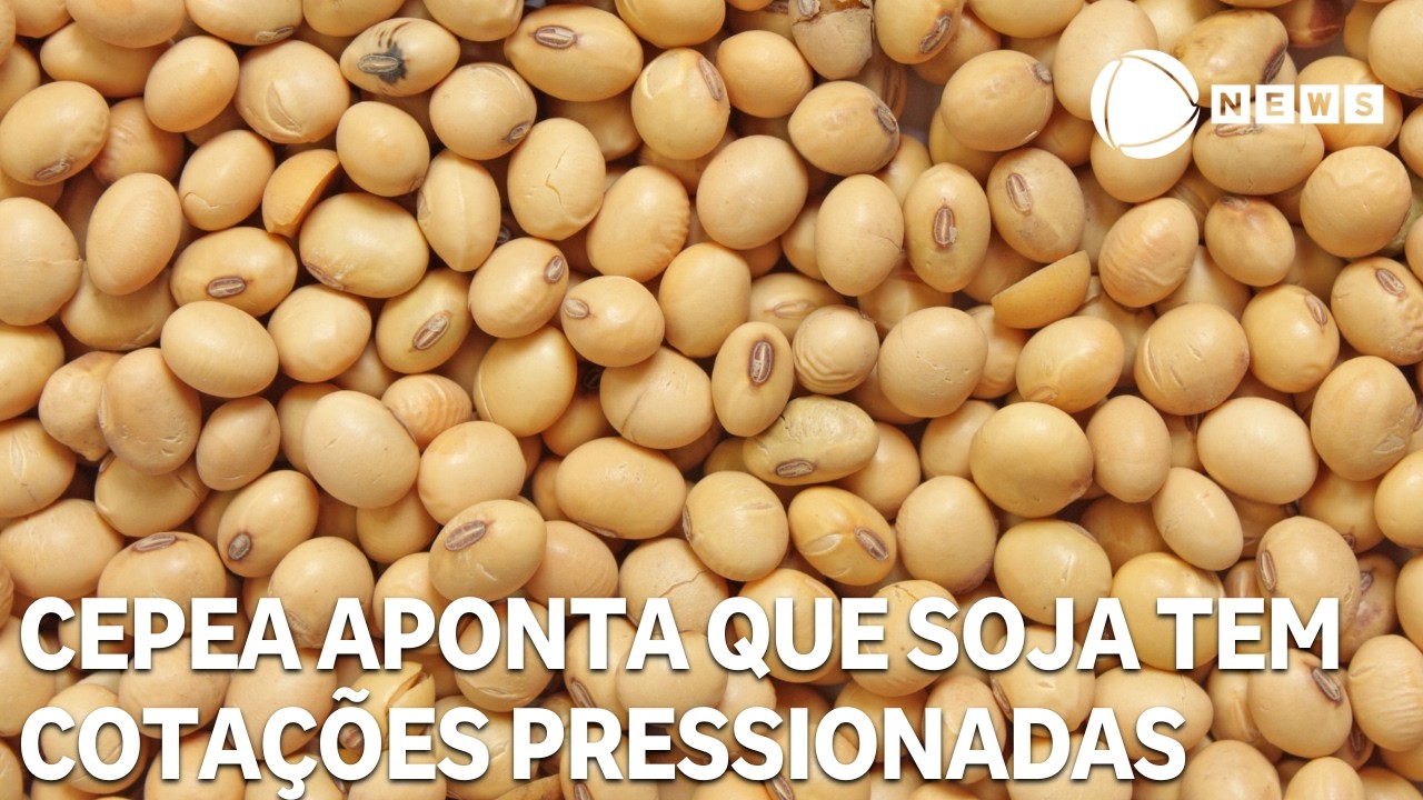 Cepea aponta que soja tem cotações pressionadas