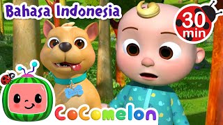 Kemana Anjing kecilku Pergi? 🐶 | CoComelon Bahasa Indonesia - Lagu Anak Anak | Nursery Rhymes