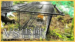 【第9話】野菜大収穫！なのにそしてケモノに食い荒らされました・・・【 #白米王国プロジェクト 】