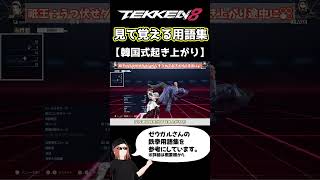 【鉄拳8】見て覚える用語集【韓国式起き上がり】