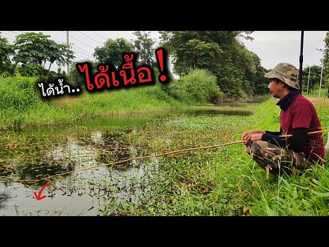 ❗ให้มันได้แบบนี้สิวะ..ถึงจะบันเทิง | ตกปลาข้างทาง | fishing