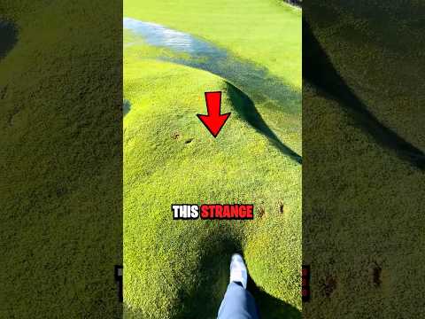 Strange Lawn Bubble 😱